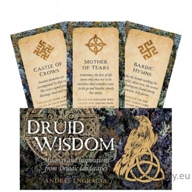 Druid Wisdom Inspiration kortos Rockpool