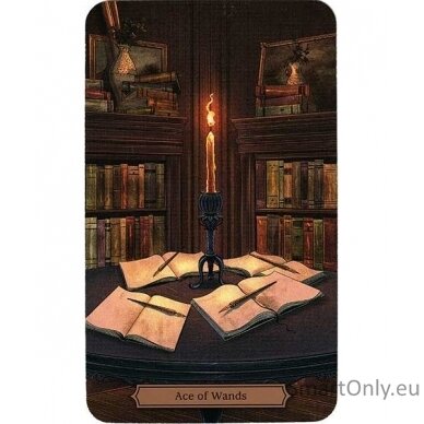 Edgar Allan Poe Tarot kortos Llewellyn 1