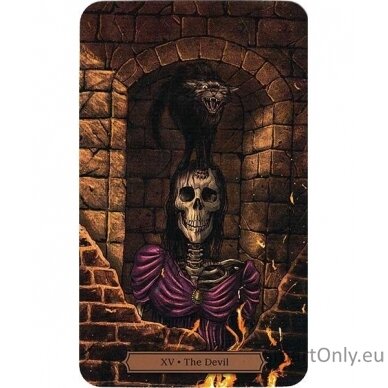 Edgar Allan Poe Tarot kortos Llewellyn 6