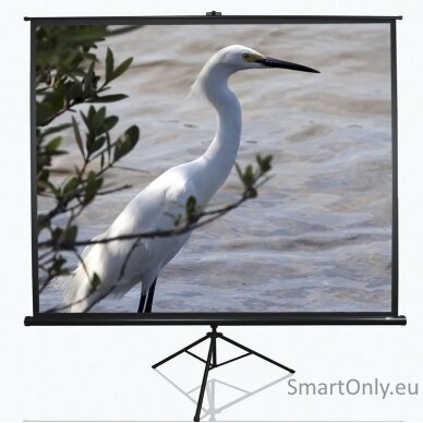 elite-screens-tripod-series-t100uwv1-diagonal-100-43-viewable-screen-width-w-203-cm-black