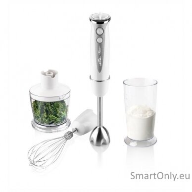 ETA | Hand blender | ETA305790000 RIZZO | Hand Blender | 400 W | Number of speeds 5 | Turbo mode | Chopper | White