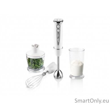 ETA | Hand blender | ETA305790000 RIZZO | Hand Blender | 400 W | Number of speeds 5 | Turbo mode | Chopper | White