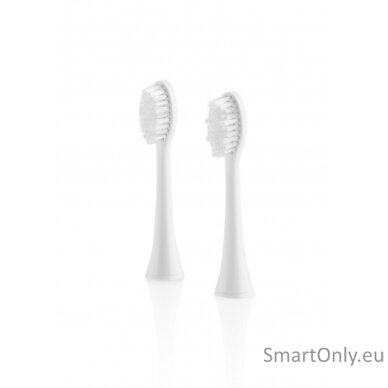 ETA Toothbrush replacement FlexiClean ETA070790100 Heads, For adults, Number of brush heads included 2, White