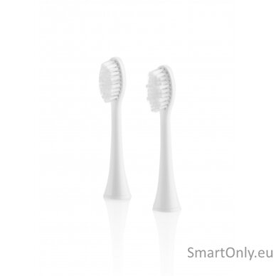 eta-toothbrush-replacement-regularclean-eta070790200-heads-for-adults-number-of-brush-heads-included-2-white