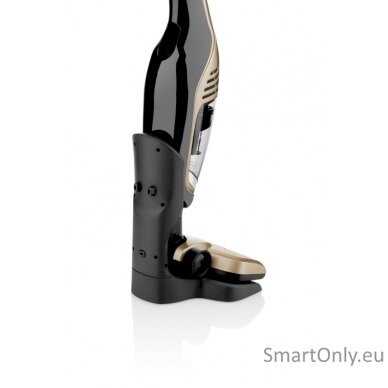 ETA Vacuum Cleaner ETA745390000 Moneto II Cordless operating Handstick 2in1 25.2 V Operating time (max) 50 min Gold/Black 6