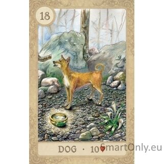 Fairy Tale Lenormand skardinėje dėžutėje US Games Systems 8