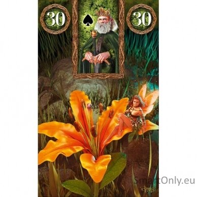 Fairy Lenormand Oracle Kortos Lo Scarabeo 2