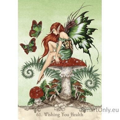 Fairy Wisdom Oracle kortos ir knyga US Games Systems 11