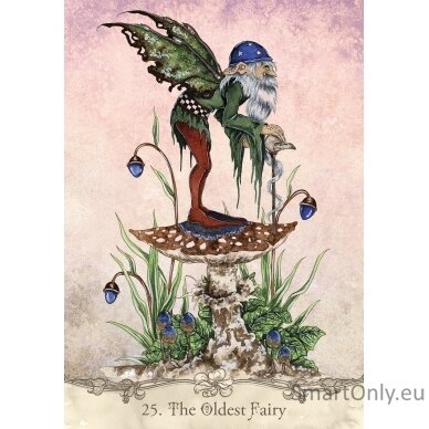 Fairy Wisdom Oracle kortos ir knyga US Games Systems 6