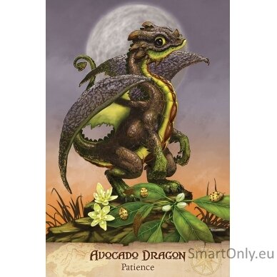 Field Guide To garden Dragons Taro kortos US Games Systems 2