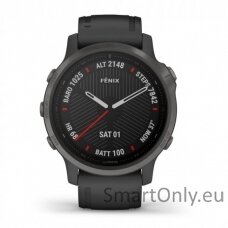 Išmanusis laikrodis Garmin Fenix 6S Saphire Carbon Grey