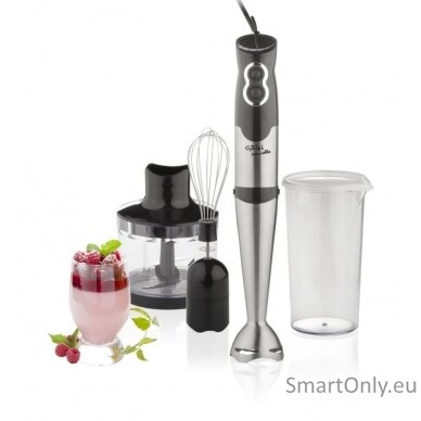 Gallet Blender Naucelle 3in1 GALMIX435 Hand Blender 500 W Number of speeds 2 Chopper Ice crushing Black/Stainless steel