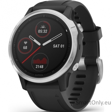 Išmanusis laikrodis Garmin Fenix 6S Silver Black