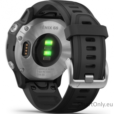 Išmanusis laikrodis Garmin Fenix 6S Silver Black 5