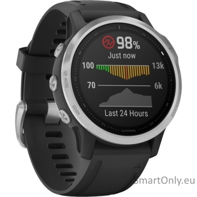 Išmanusis laikrodis Garmin Fenix 6S Silver Black 2