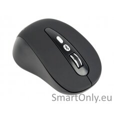 Gembird 6-button wireless optical mouse MUSW-6B-01 USB Optical mouse Black