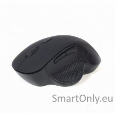 Gembird Wireless Optical mouse MUSW-6B-02	 USB Optical mouse Black