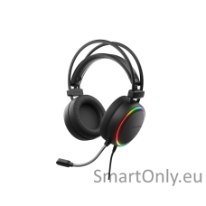 Genesis | On-Ear Gaming Headset | Neon 613 | Built-in microphone | 3.5 mm, USB Type-A | Black