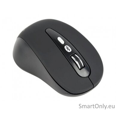 Gembird 6-button wireless optical mouse MUSW-6B-01 USB Optical mouse Black