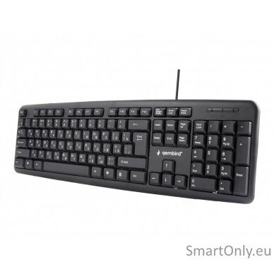 Gembird KB-U-103-RU Standard Wired Full size 104-keys standard keyboard EN/RU 1.4 m Black 424 g 2