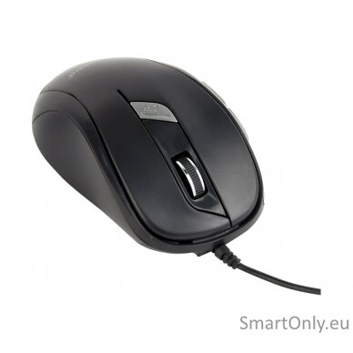 Gembird MUS-6B-01 Optical mouse Black 3