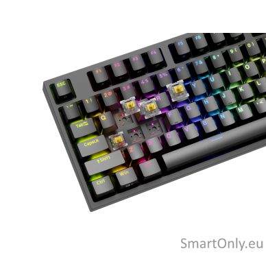 Genesis Mechanical Gaming Keyboard THOR 404 TKL RGB Mechanical Gaming Keyboard Wired US Gateron Yellow Pro USB Type-A 1005 g 12