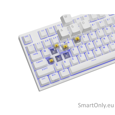 Genesis Mechanical Gaming Keyboard THOR 404 TKL RGB Mechanical Gaming Keyboard Wired US Gateron Yellow Pro USB Type-A 1005 g 12