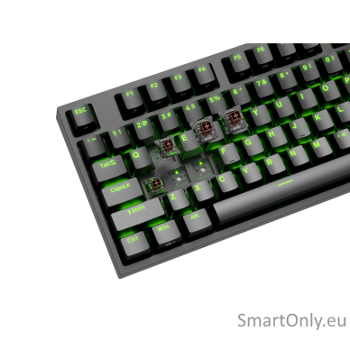 Genesis Mechanical Gaming Keyboard THOR 404 TKL RGB Mechanical Gaming Keyboard Wired US Kailh Box Brown V2 USB Type-A 1005 g 13