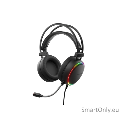 Genesis | On-Ear Gaming Headset | Neon 613 | Built-in microphone | 3.5 mm, USB Type-A | Black