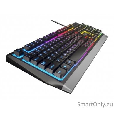 Genesis Rhod 300 RGB Gaming keyboard Spill resistant; Durable body; Multimedia Keys; Non-slip rubber feet; Folding feet RGB LED light US Wired 1.75 m 7