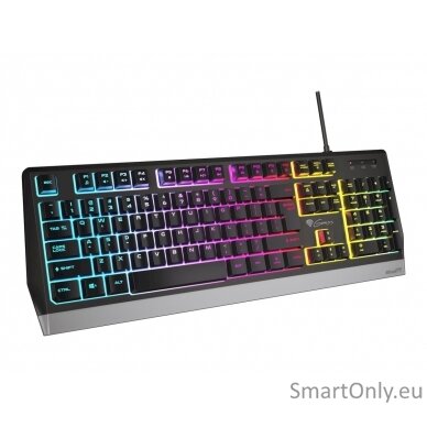 Genesis Rhod 300 RGB Gaming keyboard Spill resistant; Durable body; Multimedia Keys; Non-slip rubber feet; Folding feet RGB LED light US Wired 1.75 m 8