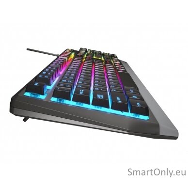 Genesis Rhod 300 RGB Gaming keyboard Spill resistant; Durable body; Multimedia Keys; Non-slip rubber feet; Folding feet RGB LED light US Wired 1.75 m 9