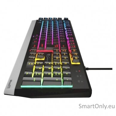 Genesis Rhod 300 RGB Gaming keyboard Spill resistant; Durable body; Multimedia Keys; Non-slip rubber feet; Folding feet RGB LED light US Wired 1.75 m