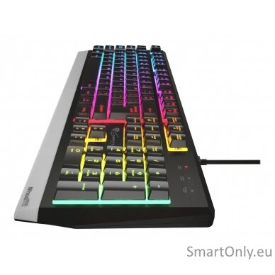 Genesis Rhod 300 RGB Gaming keyboard Spill resistant; Durable body; Multimedia Keys; Non-slip rubber feet; Folding feet RGB LED light US Wired 1.75 m 11