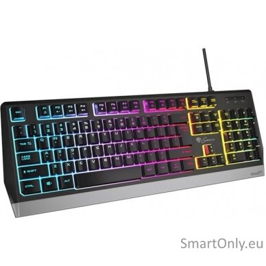 Genesis Rhod 300 RGB Gaming keyboard Spill resistant; Durable body; Multimedia Keys; Non-slip rubber feet; Folding feet RGB LED light US Wired 1.75 m 3