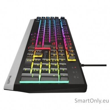 Genesis Rhod 300 RGB Gaming keyboard Spill resistant; Durable body; Multimedia Keys; Non-slip rubber feet; Folding feet RGB LED light US Wired 1.75 m