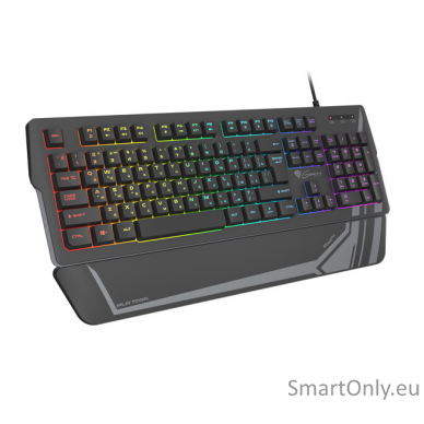 Genesis Rhod 350 RGB Gaming keyboard Spill resistant; Wrist support; Multimedia Keys; Non-slip rubber feet; Folding feet RGB LED light RU Wired 805 g