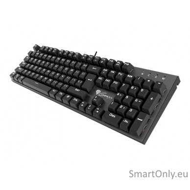 Genesis Thor 300 Gaming keyboard Wired US 6