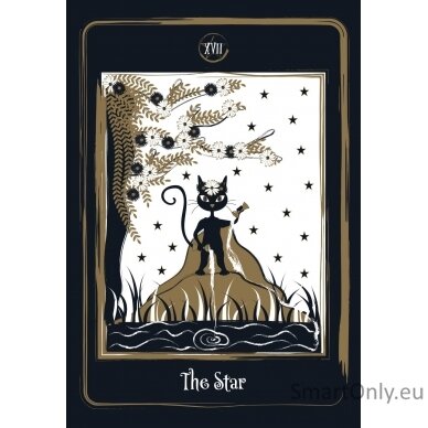 Golden Black Cat Tarot kortos AGM 4