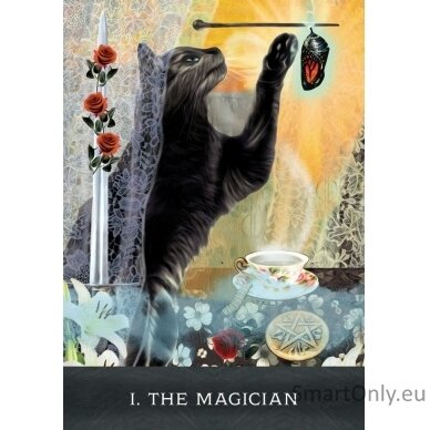 Grimalkins Curious Cats Tarot kortos Hay House 3