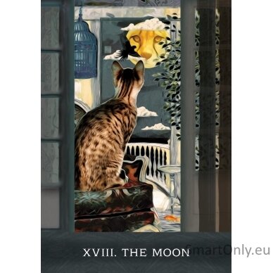 Grimalkins Curious Cats Tarot kortos Hay House 4