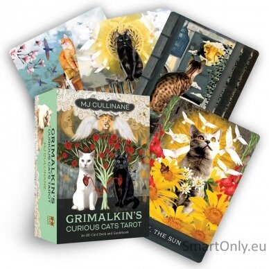 Grimalkins Curious Cats Tarot kortos Hay House