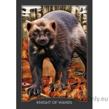 Guardian Of The Night Tarot kortos Hay House 8