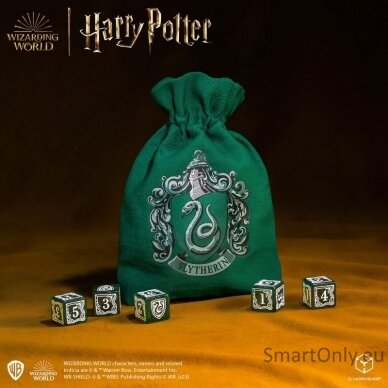 Harry Potter. Slytherin Dice & Pouch kauliukų ir maišelio rinkinys 2