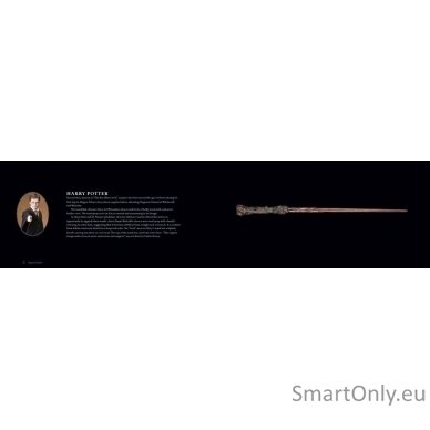 Harry Potter The Wand Collection Insight Editions 1