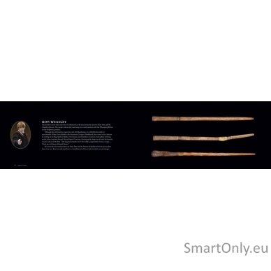 Harry Potter The Wand Collection Insight Editions 2