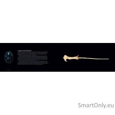 Harry Potter The Wand Collection Insight Editions 3