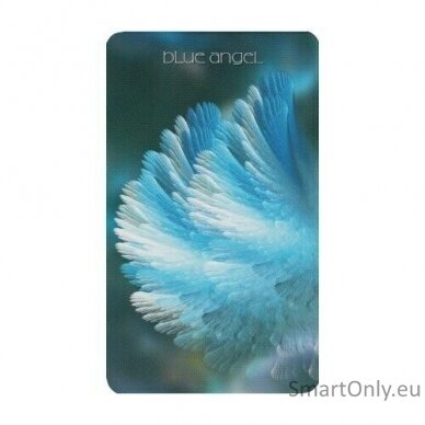 Healing Light and Angel Cards Taro Kortos Schiffer Publishing 3