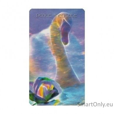 Healing Light and Angel Cards Taro Kortos Schiffer Publishing 7