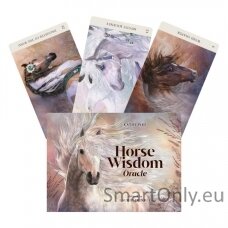 Horse Wisdom Oracle kortos Blue Angel